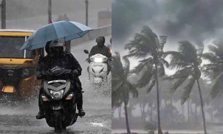 तेज आंधी-बारिश से रायपुर बेहाल, पेड़ गिरे, फिर बिगड़ सकता है मौसम