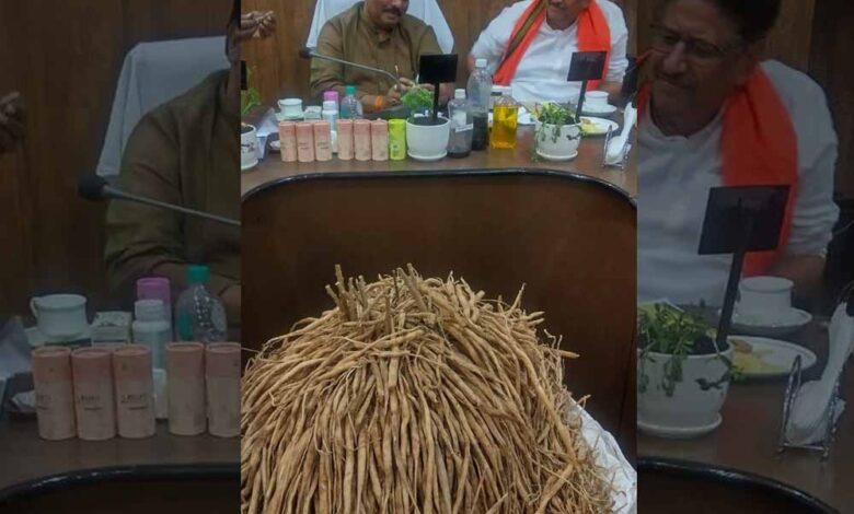 सतावर की खेती से किसानों की होगी बंपर कमाई, खेत की मेड़ बनेगी अतिरिक्त आय का जरिया