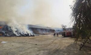 बीजापुर-के-बाद-जगदलपुर-में-तेंदूपत्ता-गोदाम-में-आग,-मौके-पर-पहुंचीं-फायर-ब्रिगेड-की-गाड़ियां