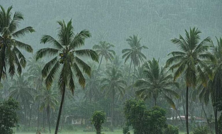 केरल-में-मॉनसून-की-रफ्तार-धीमी,-मौसम-विभाग-ने-बताई-देरी-की-वजह