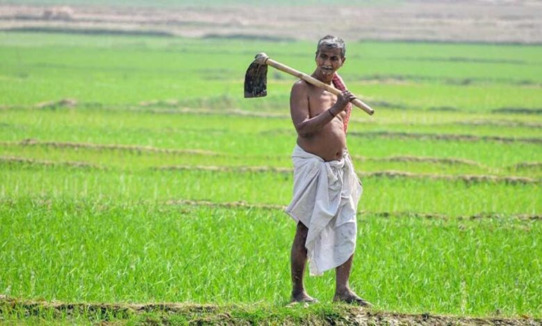 बदलती खेती में नैनो यूरिया और नैनो डीएपी बन रहे किसानों की नई पसंद