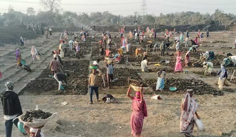 “जल-संरक्षण-के-साथ-मिल-रहा-बंपर-रोजगार,-मोर-गांव,-मोर-तरिया”-अभियान-से-संवर-रहे-ग्रामीण-क्षेत्र