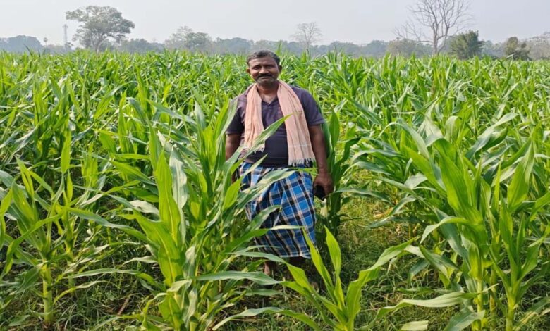 संघर्ष से समृद्धि-  नक्सल मुक्त क्षेत्रों में आधुनिक खेती से कृषक गोपाल एर्रागोला ने रची सफलता की नई इबारत