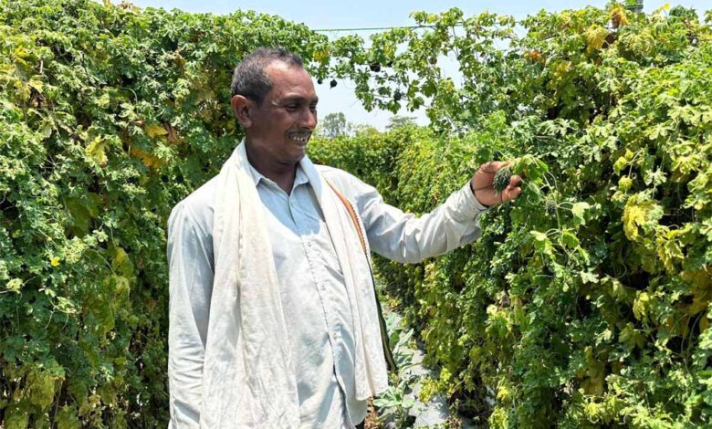 वाटरशेड योजना बनी किसान छबी लाल की समृद्धि का आधार