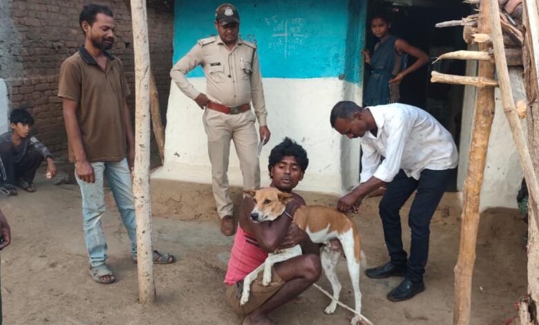 पेंच-टाइगर-रिजर्व-में-अलर्ट!-बाघों-को-बचाने-के-लिए-1500-कुत्तों-को-लगाई-जा-रही-वैक्सीन