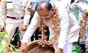 तेंदूपत्ते-से-समृद्धि,-तीखुर-से-आत्मनिर्भरता-:-बड़ेकनेरा-में-वनाधारित-आजीविका-का-सशक्त-मॉडल-बना-प्रेरणा