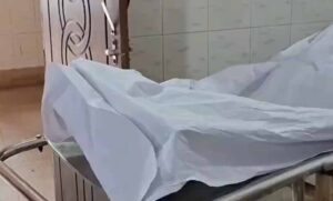 धमतरी-में-मधुमक्खियों-का-कहर,-हमले-में-सास-की-मौत;-दामाद-की-हालत-गंभीर