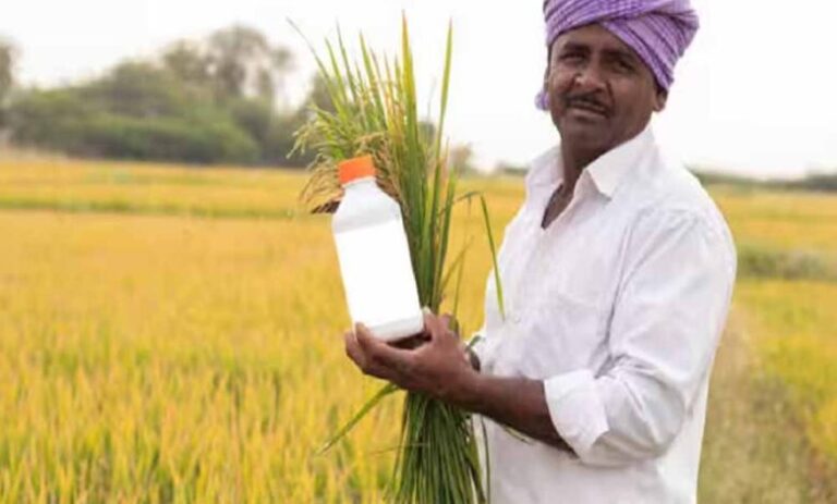 ’नैनो-उर्वरकों-के-उपयोग-से-बेहतर-उत्पादन-और-मृदा-स्वास्थ्य-को-मिल-रहा-बढ़ावा-कृषक-छेदीलाल’