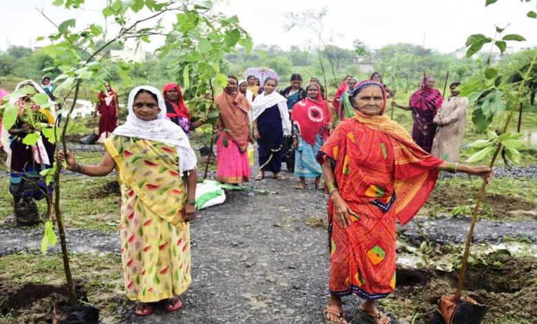 हरित-विकास,-जल-संरक्षण-और-जनभागीदारी-से-पर्यावरणीय-समृद्धि-की-ओर-बढ़ता-छत्तीसगढ़
