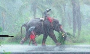 आ-गई-खुशखबरी!-भारत-में-मानसून-की-धमाकेदार-एंट्री,-जानिए-यूपी-बिहार-में-कब-देगा-दस्तक