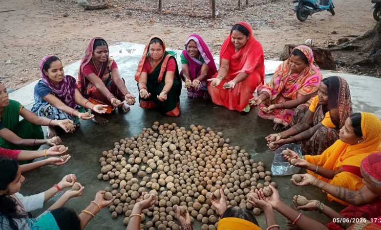 सीड बॉल बनाकर प्रकृति संरक्षण की अनूठी पहल, हरित जशपुर के निर्माण पर जोर