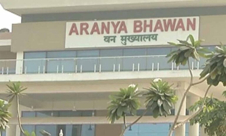 छत्तीसगढ़-वन-विभाग-में-बड़ा-फेरबदल,-चार-वरिष्ठ-ifs-अधिकारियों-को-मिली-नई-जिम्मेदारी