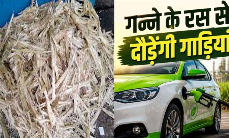 पेट्रोल-डीजल-को-मिलेगी-टक्कर!-गन्ने-से-बने-ईंधन-पर-दौड़ेंगी-गाड़ियां,-mp-के-किसानों-को-होगा-बड़ा-फायदा
