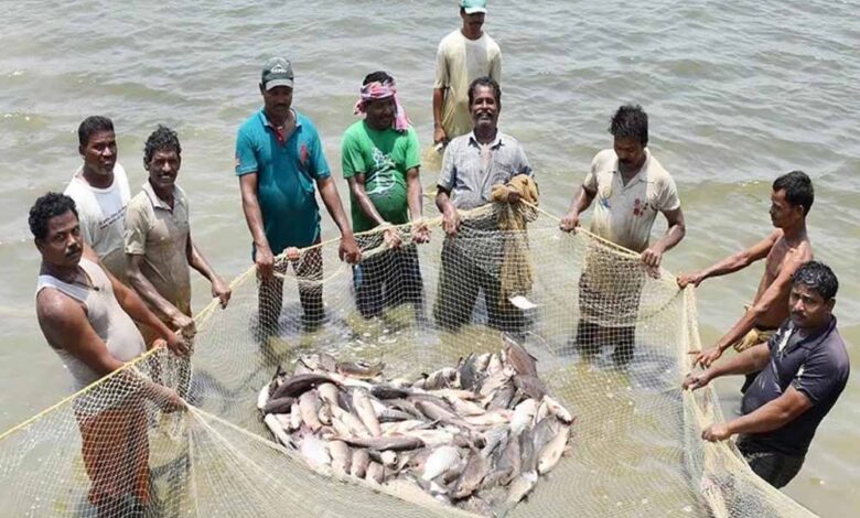 15 अगस्त तक मछली पकड़ने पर प्रतिबंध, प्रजनन काल में संरक्षण पर जोर