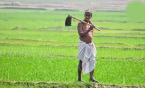 दीनदयाल-भूमिहीन-कृषि-मजदूर-कल्याण-योजना-में-पात्र-परिवारों-को-मिलेगी-₹10-हजार-की-सहायता