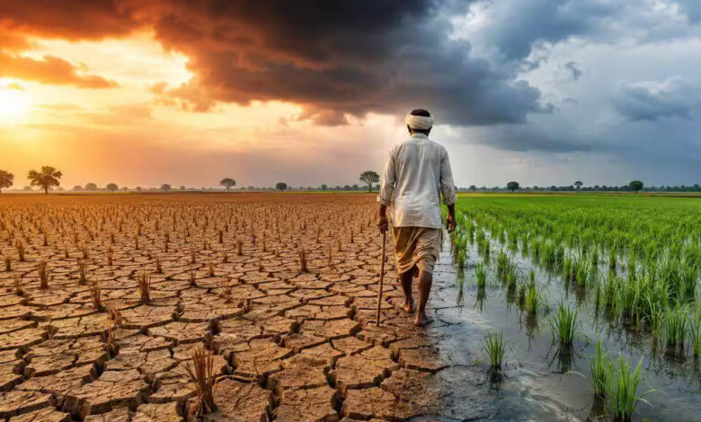 एल-नीनो का मानसून पर बड़ा असर, जून में 42% कम बारिश; 100 साल का तीसरा सबसे सूखा महीना